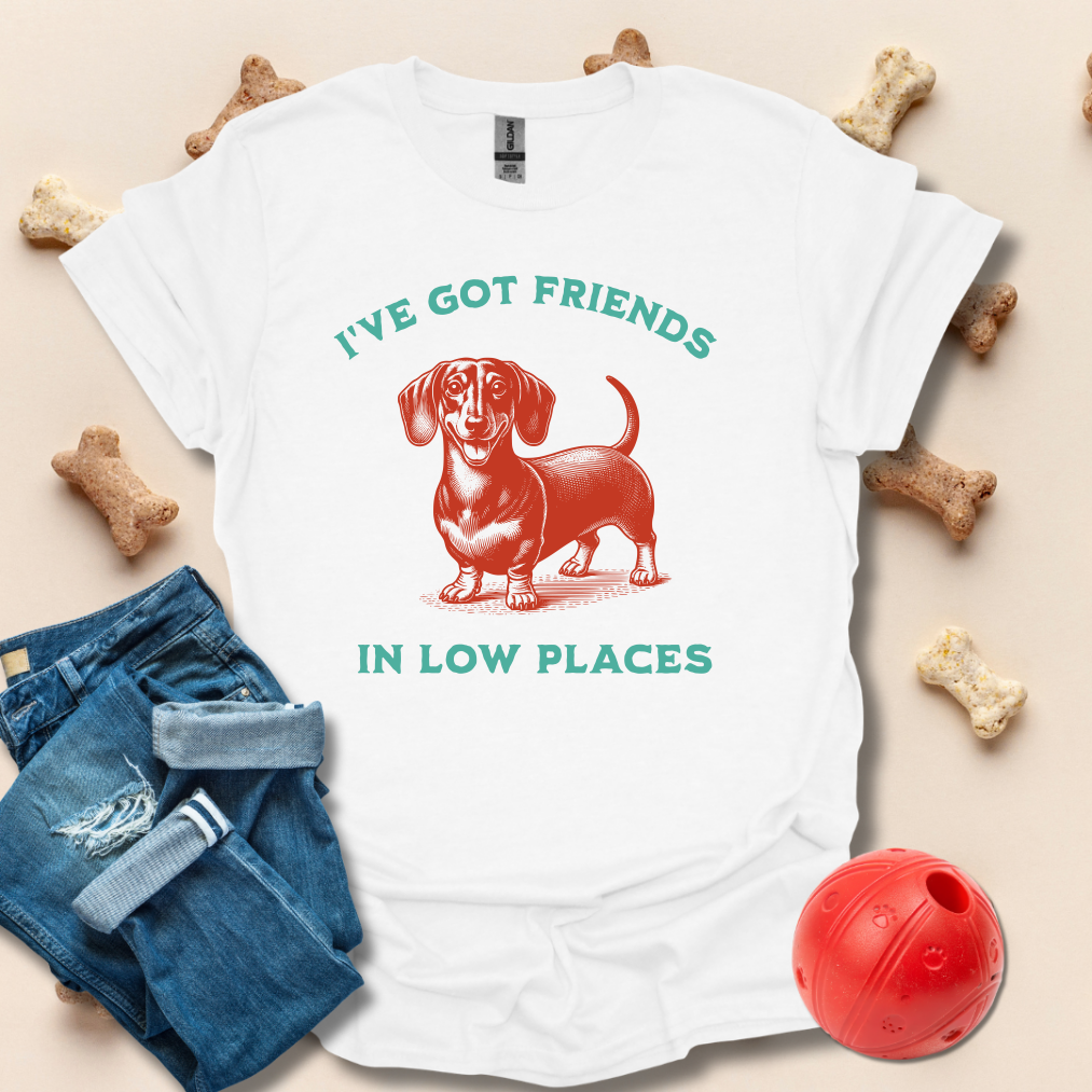 I've Got Friends In Low Places Funny Dog T-Shirt